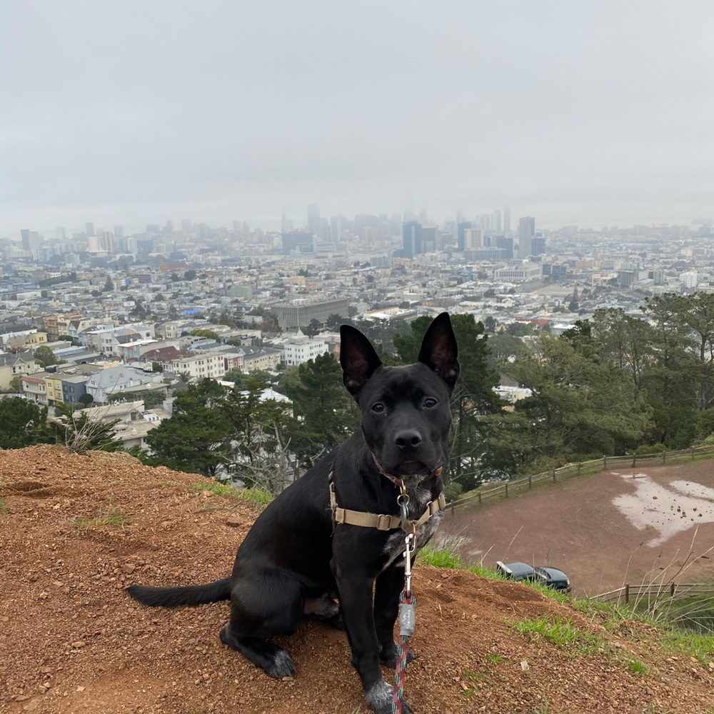 Meet your Posher, Timothy